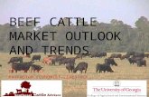 BEEF CATTLE MARKET OUTLOOK AND TRENDS DR. CURT LACY EXTENSION ECONOMIST-LIVESTOCK.