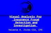 Visual Analysis For Insurance Fraud Detection and Investigation Valerie A. Zicko CCA, CFE.