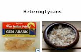 Heteroglycans. Are natural plants hydrocolloids containing more than one kind of monosaccharide units.
