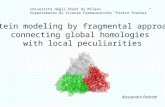 Università degli Studi di Milano Dipartimento di Scienze Farmaceutiche “Pietro Pratesi” Alessandro Pedretti Protein modeling by fragmental approach: connecting.