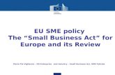 EU SME policy The “Small Business Act” for Europe and its Review Maria Pia Vigliarolo – DG Enterprise and Industry – Small Business Act, SME Policies.
