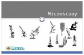 Microscopy. Outline Using the metric system to express the sizes of microbes Microscopes  Simple microscopes  Compound microscopes  Electron microscopes.