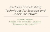 B+-Trees and Hashing Techniques for Storage and Index Structures Rizwan Rehman Centre For Computer Studies Dibrugarh University.