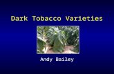 Dark Tobacco Varieties Andy Bailey. Dark Varieties Newer varieties: –Broader spectrum of disease resistance –More upright growth habit –Increased yield.