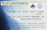Changes in leaf area index (LAI) due to ice storm damage at Harvard Forest Lauren Sanchez, Middlebury College In collaboration with Harvard University.