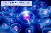 The Origin of Cells (1.5) IB Diploma Biology. Cell theory states that: All living things are composed of cells (or cell products) The cell is the smallest.