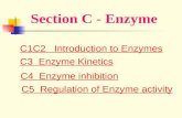 Section C - Enzyme C1C2 Introduction to Enzymes C3 Enzyme Kinetics C4 Enzyme inhibition C5 Regulation of Enzyme activity.