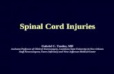 Spinal Cord Injuries Gabriel C. Tender, MD Assistant Professor of Clinical Neurosurgery, Louisiana State University in New Orleans Staff Neurosurgeon,