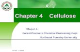 Chapter 4 Cellulose Shujun Li Forest Products Chemical Processing Dept. Northeast Forestry University 2015年4月14日星期二11时48分5秒 2015年4月14日星期二11时48分5秒
