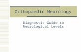 Orthopaedic Neurology Diagnostic Guide to Neurological Levels.