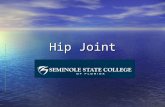 Hip Joint. The hip is the most proximal of the lower extremity joints. It is very important in weight- bearing and walking activities. Like the shoulder,