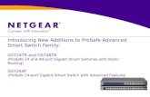 Introducing New Additions to ProSafe Advanced Smart Switch Family: GS724TR and GS748TR (ProSafe 24 and 48-port Gigabit Smart Switches with Static Routing)