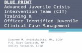 BLUE PRINT Advanced Juvenile Crisis Intervention Team (CIT) Training & Officer Identified Juvenile Clinical Case Management Suzanne M. Andriukaitis, MA,