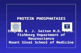 PROTEIN PHOSPHATASES Stephen R. J. Salton M.D. Ph.D. Fishberg Department of Neuroscience Mount Sinai School of Medicine.