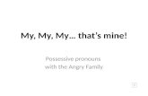My, My… that’s mine! Possessive pronouns with the Angry Family.