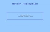 Motion Perception. Motion perception has many functions - it plays a role in segregating figure from ground in encoding depth in helping us avoid collisions.