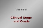 Module 6: Clinical Stage and Grade. Introduction Stage and grade determine prognosis Staging reflects the clinical extent of the tumor Grading a tumor.