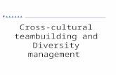 Cross-cultural teambuilding and Diversity management.