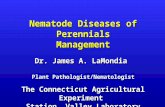 Nematode Diseases of Perennials Management Dr. James A. LaMondia Plant Pathologist/Nematologist The Connecticut Agricultural Experiment Station, Valley.