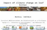 Impact of climate change on leaf litter decomposition in french Mediterranean Region Mathieu SANTONJA Institut Méditerranéen de Biodiversité et d’Ecologie.