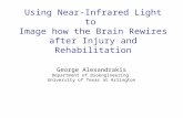 Using Near-Infrared Light to Image how the Brain Rewires after Injury and Rehabilitation George Alexandrakis Department of Bioengineering University of.