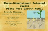Three-Dimensional Internal Source Plant Root Growth Model Brandy Wiegers University of California, Davis Dr. Angela Cheer Dr. Wendy Silk 2007 RMA World.