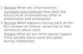 1 Review What are chromosomes Compare and Contrast How does the structure of chromosomes differ in prokaryotes and eukaryotes 2 Review What happens during.
