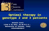Optimal therapy in genotype 2 and 3 patients Antonio Craxì Liver & GI Unit, Di.Bi.M.I.S., University of Palermo, Italy craxanto@unipa.it.