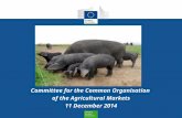 Committee for the Common Organisation of the Agricultural Markets 11 December 2014.