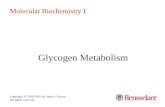 Glycogen Metabolism Copyright © 1999-2002 by Joyce J. Diwan. All rights reserved. Molecular Biochemistry I.
