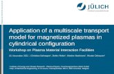 17. April 2015 Mitglied der Helmholtz-Gemeinschaft Application of a multiscale transport model for magnetized plasmas in cylindrical configuration Workshop.