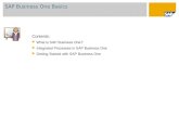 Contents: What is SAP Business One? Integrated Processes in SAP Business One Getting Started with SAP Business One SAP Business One Basics.