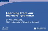 Learning from our learners’ grammar Dr Anne O’Keeffe, MIC, University of Limerick, Ireland.