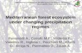 Mediterranean forest ecosystem under changing precipitation regimes Peressotti A., Cotrufo M.F., Miglietta F., Valentini R., Inglima I., Pecchiari M.,