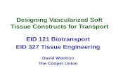 Designing Vascularized Soft Tissue Constructs for Transport EID 121 Biotransport EID 327 Tissue Engineering David Wootton The Cooper Union.