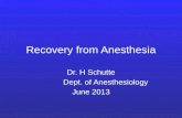 Recovery from Anesthesia Dr. H Schutte Dept. of Anesthesiology June 2013.