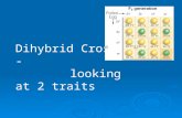 Dihybrid Crosses - looking at 2 traits. Mendel’s dihybrid crosses: 1.Mendel also performed crosses involving two pairs of traits, e.g., seed shape (smooth.