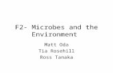 F2- Microbes and the Environment Matt Oda Tia Rosehill Ross Tanaka.