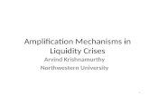 Amplification Mechanisms in Liquidity Crises Arvind Krishnamurthy Northwestern University 1.