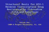 Structural Basis for HIV-1 Reverse Transcriptase Drug Resistance to Zidovudine (AZT) and Tenofovir Kalyan Das CABM & Rutgers University, NJ, USA.