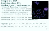 21-1 Chapt 21 DNA Replication II: Mechanisms; telomerase Student learning outcomes: Describe how replication initiates –proteins binding specific DNA sequences.