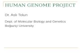 HUMAN GENOME PROJECT Dr. Aslı Tolun Dept. of Molecular Biology and Genetics Boğaziçi University.