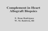 Complement in Heart Allograft Biopsies E. Rene Rodriguez W. M. Baldwin, III.