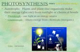 PHOTOSYNTHESIS Autotrophs: Plants and plant-like organisms make their energy (glucose) from sunlight or chemical bonds Phototroph - use light as an energy.