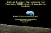 Scaling Biomass Measurements for Examining MODIS Derived Vegetation Products Matthew C. Reeves and Maosheng Zhao Numerical Terradynamic Simulation Group.