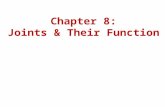 Chapter 8: Joints & Their Function. Sir John Charnley – doctor who pioneered the use of artificial joints in the early 1960s.