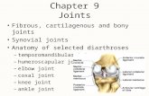 Chapter 9 Joints Fibrous, cartilagenous and bony joints Synovial joints Anatomy of selected diarthroses –temporomandibular joint –humeroscapular joint.