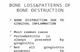 BONE LOSS&PATTERNS OF BONE DESTRUCTION  BONE DISTRUCTION DUE TO GINGIVAL INFLAMMATION Most common cause Periodontitisis always preceded by gingivitis.