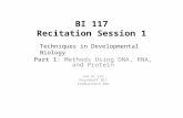 BI 117 Recitation Session 1 Part 1: Methods Using DNA, RNA, and Protein Jon or jev Kerckhoff 017 jev@caltech.edu Techniques in Developmental Biology.