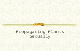 Propagating Plants Sexually. Next Generation Science/Common Core Standards Addressed! RST.6 ‐ 8.1Cite specific textual evidence to support analysis of.